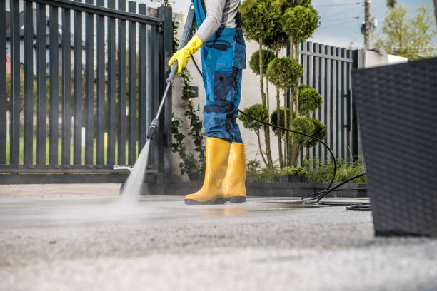 Best Roof Pressure Washing  in Jamestown, NC